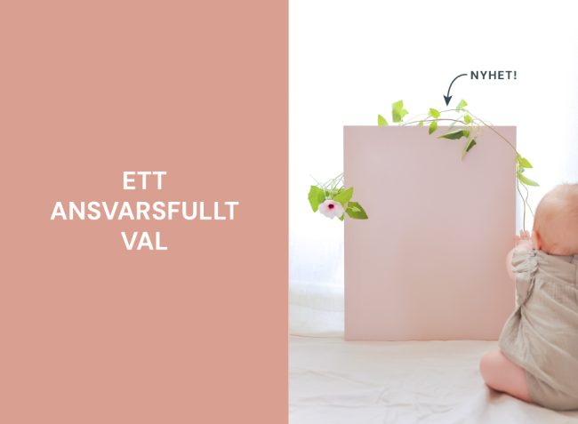 Ett ansvarsfullt val